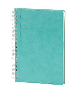 Bağcılar-17x24-TRK Spiralli Tarihsiz Defter