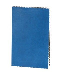 Erciyes-L Tarihsiz Defter