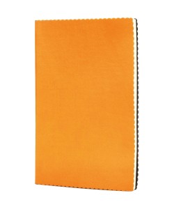Erciyes-T Tarihsiz Defter