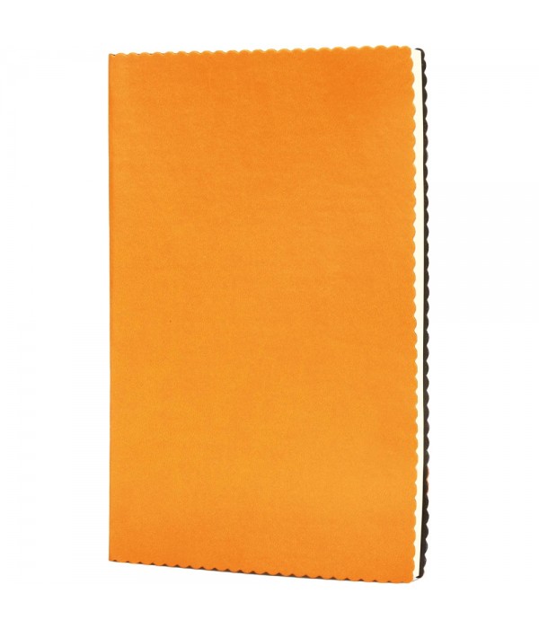 Erciyes-T Tarihsiz Defter
