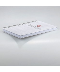 DFT-01-17x24 Taslama Defter