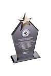 EKT-170-FM Kristal Plaket