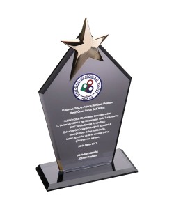 EKT-170-FM Kristal Plaket