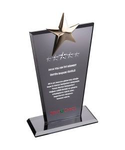 EKT-128-FM Kristal Plaket