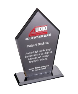 EKT-161-FM Kristal Plaket