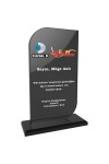 EKT-290-FM Kristal Plaket