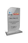 EKT-290-ŞF Kristal Plaket